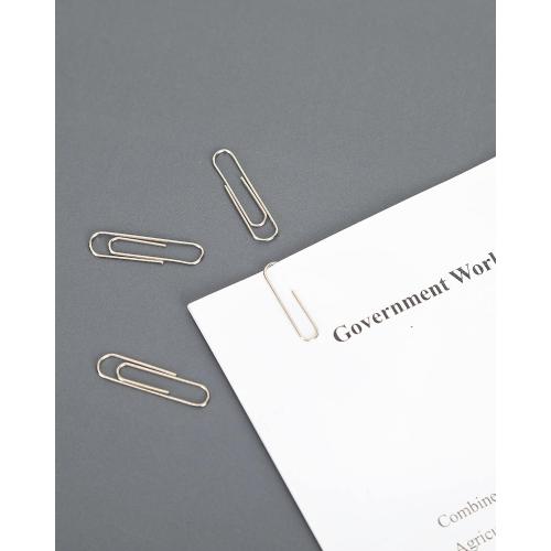 PAPERPAL Paperclips for Office School & Personal Use, #1 Nonskid Paper Clip (1-2/7), 600 Medium Paper Clips (6 Boxes of 100 Each), Silver