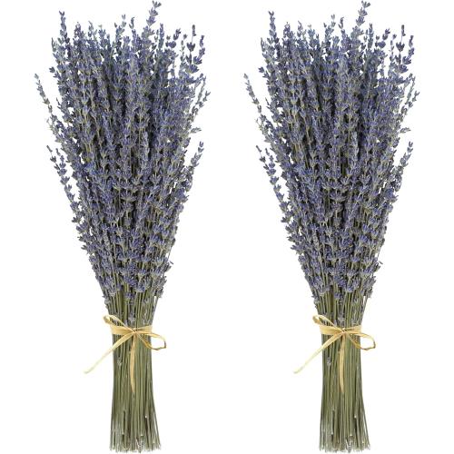 Dried Lavender 2 Bunches 100% Fresh Natural Purple Bouquet Flowers for Bathroom Photo Props Crafts Decoration, 15-17 for Shower Weeding Vase Decor, Home Fragrance(200-220 Stems(100g/3.5oz Total))