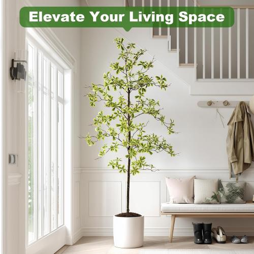 Bailikang 6FT Artificial Black Olive Tree Artificial Olive Plants, Tall Faux Olive Tree Faux Silk Plant Fake Plant Ultra-Realistic Silk Leaves & Natural Trunk Indoor Outdoor Use