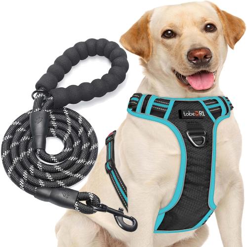 Size Large Neck: 18-25.5, Chest: 25.5-31 Color Black No Pull Harness with A Free Heavy Duty 5ft Leash for Medium Large Dog Adjustable Reflective Oxford Easy Control (L (Neck: 18-25.5, Chest: 25.5-31), Black/Blue Harness Leash)