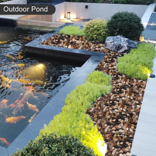 5 lbs River Stones and Pebbles can be Used for Gardening; Aquarium Rocks and Gravel are Suitable for Fish Tank Decoration