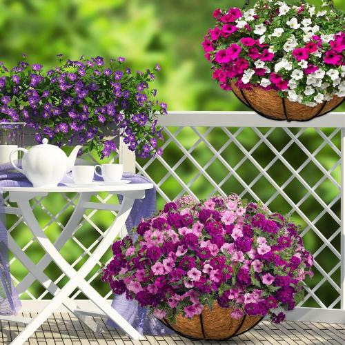 Halatool 4PCS 14 Inch Coconut Liners for Planters Round Hanging Basket Liners 100% Natural Replacement Coconut Fiber Liner for Garden Flower Pot Vegetables Herbs