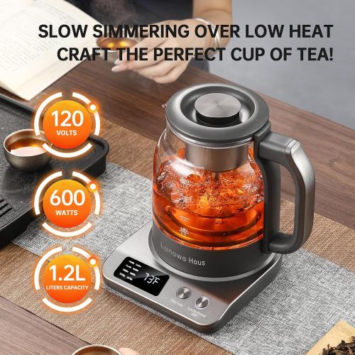 120V Titanium & Glass Electric Tea Kettle, Pro Steam Extraction for All Teas (Green, Black, Oolong), 11 Temp & 10 Strength Levels, 1.2L, 12H Keep Warm, BPA-Free, 1 Infusers