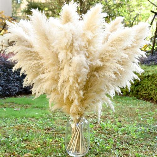 40 10 PCS Dried Pampas Grass Decor Tall,Large Natural Beige pompas Grass,Tall Pampas Grass for Floor Vase,Wedding,Party,Farmhouse,Boho Home Decor,and Creating a Bohemian Ambiance