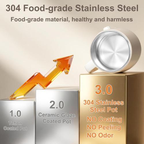 Dezin Electric Pot, 1.6L Ramen Cooker, Hot Pot Electric Stainless Steel, Multifunctional Cooker for Egg, Pasta, Soup, Porridge, Oatmeal with Temperature Control and Keep Warm Function