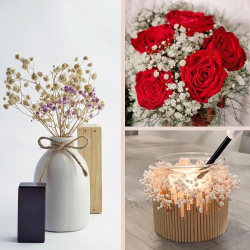 Dried Baby's Breath Bouquet, Pure White 6-7.8 Portable Mini Gypsophila Flowers, 2000  Natural Preserved Flowers for Wedding Home Decor DIY Crafts Vase Filler Wreath Card Making