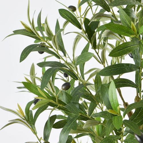 Faux Olive Tree 6ft,Olive Trees Artificial Indoor,Large Fake Olive Plants with Natural Wood Trunk and Lifelike Leaves for Living Room and Office