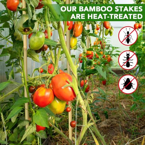 70 Pcs Bamboo Stakes, 5 Feet (57.5inch) Natural Bamboo Garden Stakes for Plant, Garden Bamboo Plant Sticks for Plants Support, Tomato, Beans, Vegetable, Trees and Climbing Plants