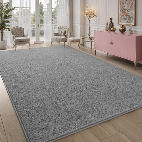 Pettop Area Rugs for Bedroom Living Room, 4x6 Grey Thickened Memory-Foam Indoor Carpets, Modern Aesthetic Minimalist Super Soft Comfy Carpet for Boys Girls Adults Room Dorm Home Decor