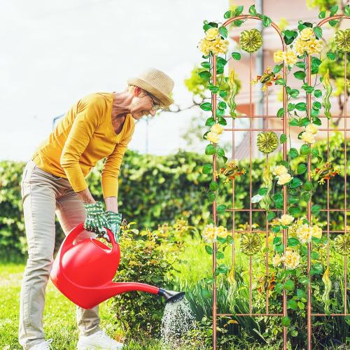 2Pcs Metal Garden Trellis, Arched Fence Trellis Plant Support Trellises, Supporting Plants Outdoor Decoration for Climbing Plants Lawn Yard Patio Backyard Wall Brackets (Frog)