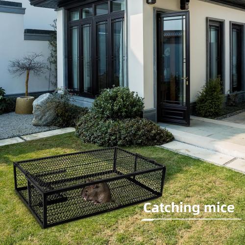 Snake Trap, Humane Capture Device for Unwanted Reptiles -Reusable!