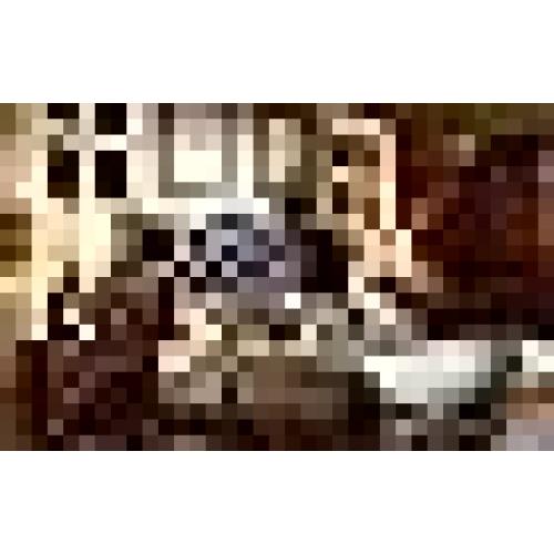 RORIANO Farmhouse Lantern Table Lamps for Living Room Set of 2, Vintage Bedroom Resin Lamp with Dual USB Charging Ports, Rustic Retro Bedside Nightstand Desk Lamp, 4 Bulb Included