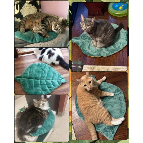 Cat Mat Self Warming Cat Bed 26x20 Leaf Shaped Cotton Soft Warm Pet Pad Blanket for Indoor Bed Couch Sofa Floors Cat and Dog Warm Mattress (Green)
