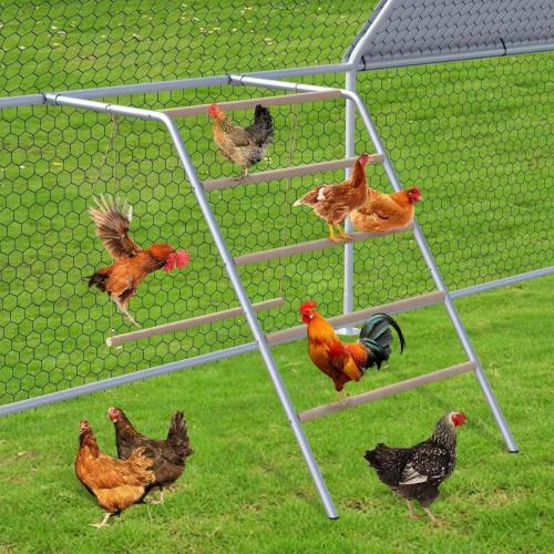 Size 55 x 41 Chicken Perch for Coop with Swing & Roosting Bars, Ladder - Perfect for Backyard Poultry - Easy Installation & Cleaning (55'' L x 41'' W)