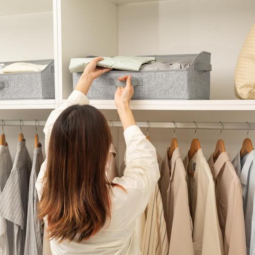 GRANNY SAYS Closet Organizers and Storage, Trapezoid Storage Bins, Dog Toy Bin, Storage Baskets for Shelves, Fabric Storage Bins with Handles, Clothing Organizer, Gray, 3-Pack