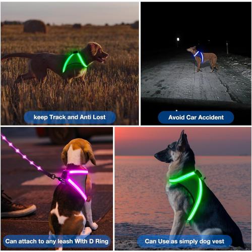 ChalkLit Light Up Dog Harness, No Pull Led Dog Harness Glow-in-The-Dark for Night Walking, USB Rechargeable Lighted Safety Vest for Medium Large Dogs, Adjustable Soft Mesh Fully Illuminated (Blue, L)