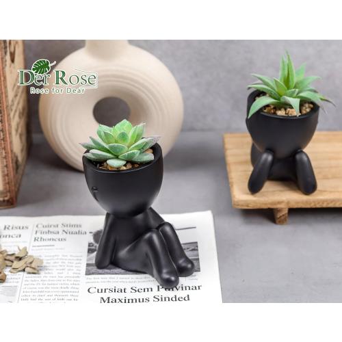 Der Rose Set of 2 Color Black  Fake Plants Artificial Succulent Plants for Office Desk Accessories Black Bathroom Home Room Aesthetic Decor Indoor