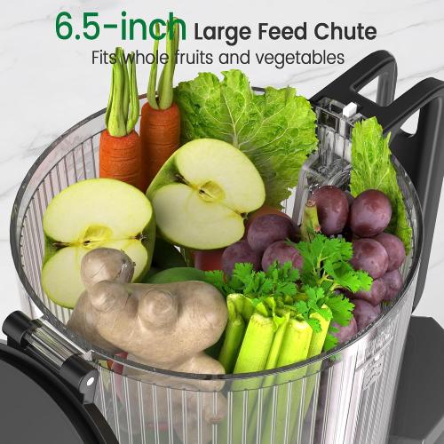 NEEDS CLEANING USED Cold Press Juicer, 6.5 Extra Wide Feed Chute Juicer Machines, 350W Slow Juicer Machines with High Juice Yield for Whole Vegetables & Fruits, BPA Free (Titanium Gray)