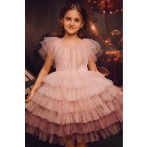 Pink Tutu Dress for Girls - Embroidered Tulle Tiered Layered Flower Toddler Dress for Wedding & Birthday
