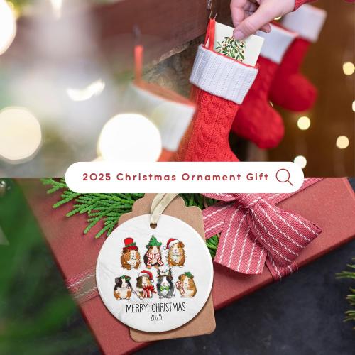 Guinea Pig Christmas Ornament - Guinea Pig Lovers Ornaments for Christmas Tree, Cute Animals Pet Ornaments - Ceramic Ornament 2025