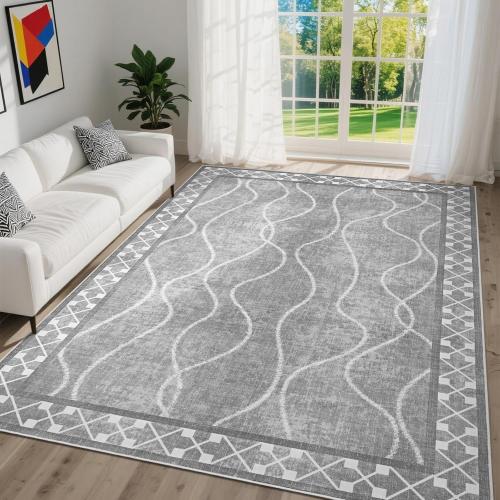 DweIke Area Rugs for Living Room, Machine Washable Bordered Rug for Bedroom, Luxury Rubber Backing (Non-Slip) Low Pile Throw Carpet for Dining Room Kitchen Home Decor, Grey