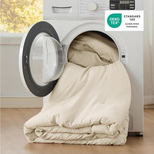 Bedsure Queen Comforter Cream Soft Prewashed Bedding for All Seasons, 3 Pieces GentleSoft Lightweight Comforter (90x90)
