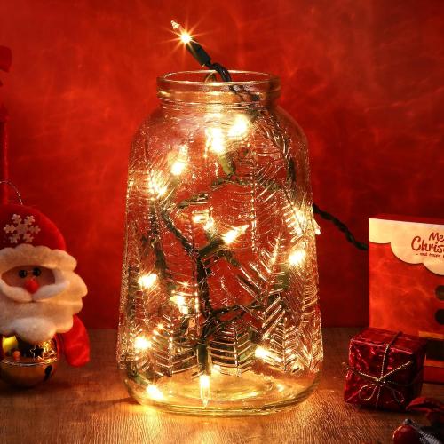 Mini Christmas Lights String Warm White Vintage Short Strand String Lights, Clear Bulbs Wire Fit Light up Christmas Decorations(20 Bulbs Connectable,5ft,Green)