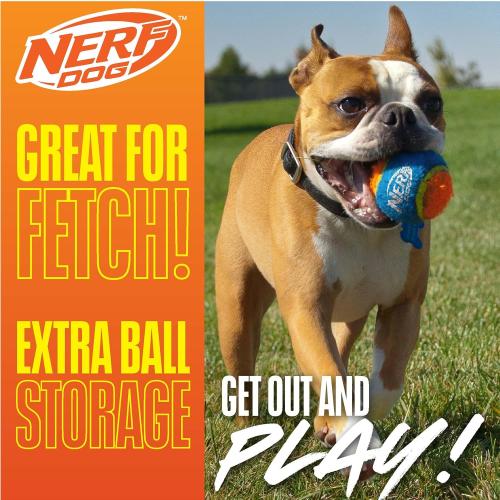 Missing Ball....Nerf Dog Tennis Ball Blaster Dog Toy Blue/Orange, 16 Inch Compact Blaster with