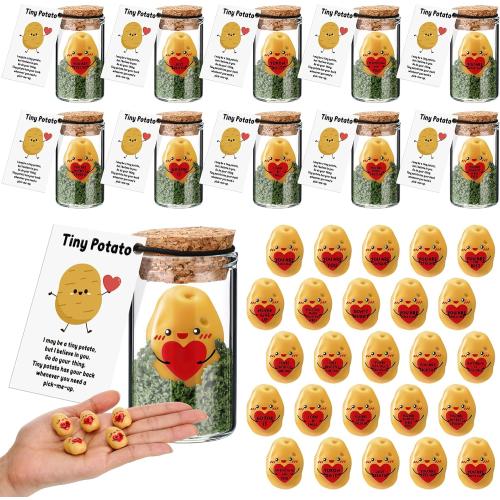 Fumete 25 Sets Tiny Potatoes Bulk Valentines Gift for Coworkers Mini Resin Potatoes Hug Heart with Jar Emotional Funny Cards Positive Encouragement Support Gifts for Teacher Office Staff Desk Decor