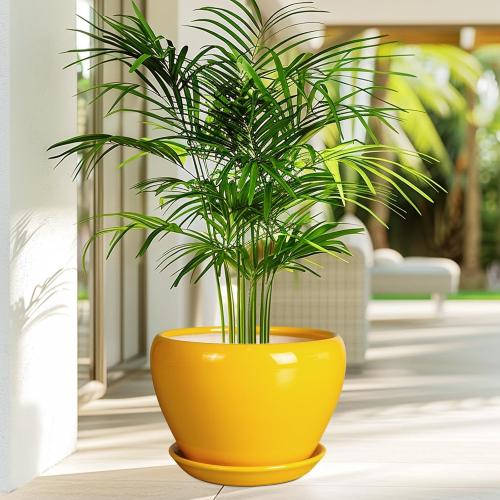 Ceramicfor Ceramic Planter - 10 Inch Plant Pot for Indoor Outdoor Plants Glaze Modern Round Planter with Drainage Hole and Saucer for Garden Office Home Room Patio Decor, Yellow