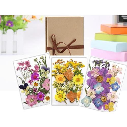 DIY photo album and dried flower embossed decorative plant specimens for accordion creative folding pages (6 * 8), Grey