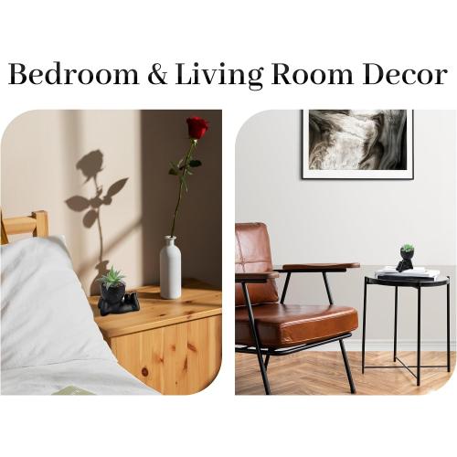 Der Rose Set of 2 Color Black  Fake Plants Artificial Succulent Plants for Office Desk Accessories Black Bathroom Home Room Aesthetic Decor Indoor