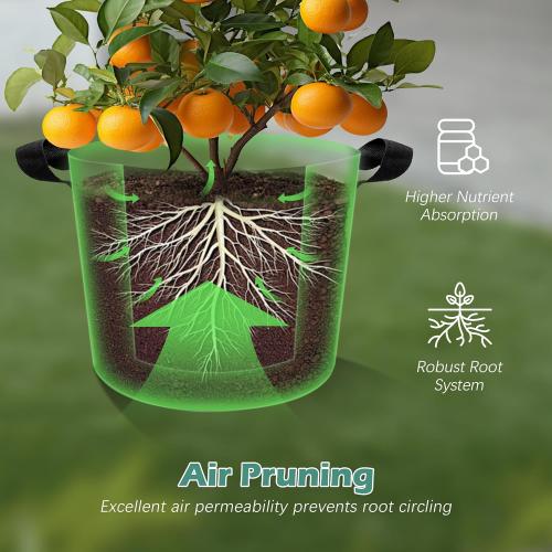 5-Pack 5 Gallons Grow Bags - Heavy Duty 300G Thickened Aeration Nonwoven Fabric Pots with Handles - Ideal Cloth Pots for Plants - Planters Accessories, Garden Vegetables Supplies