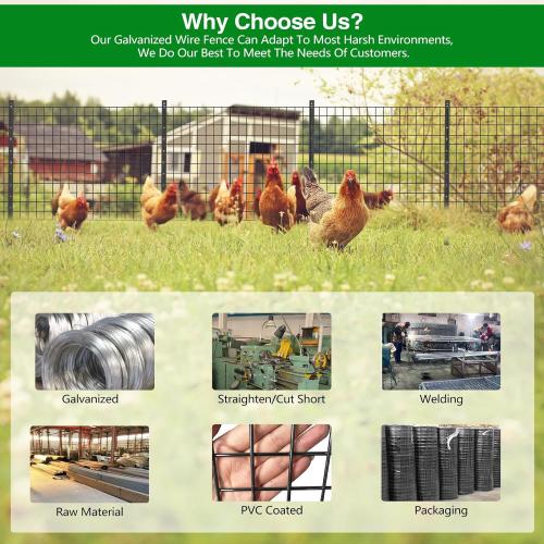 GILPWA Wire Fence,  PVC Coated Welded Wire Fencing  Garden Border Vinyl Metal Chicken Wire Fencing Mesh Roll for Yard Vegetable Plant Protection Poultry Netting Black