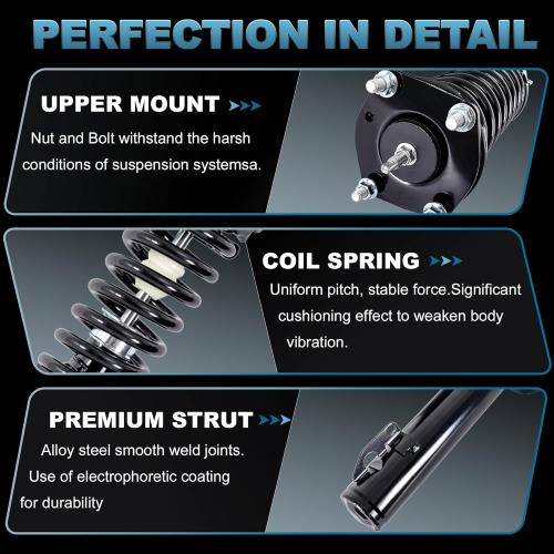 Front Struts Assembly Compatible for 2008 2009 2010 2011 2012 Nissan Rogue 2.5L Coil Spring Shock Absorber 11733 11734