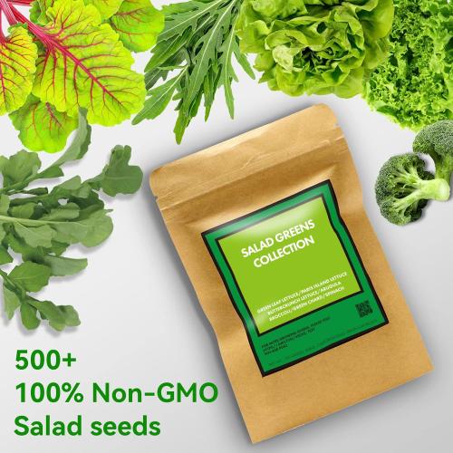 LYKO Lettuce Spinach Broccoli Seed Starter Kit for Hydroponics Growing System, Vegetable Pod Kits for Planting Indoor Garden 500  Seeds (Lettuce, Arugula, Green Chard, Broccoli, Spinach) - 3 Pods