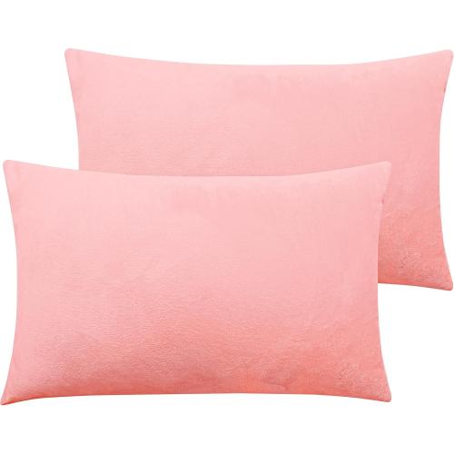 NTBAY 2 Pack Zippered Velvet Queen Pillowcases, Super Soft and Cozy Luxury Fuzzy Flannel Pillow Cases with Zipper, 20x30 Inches, Light Pink