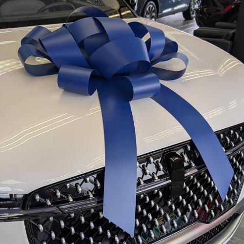 CarBowz Big Bow for Car Decorations and Birthday Gifts, Large Ribbon, Magnet, Safe Sticker Included, Fully Assembled 30 Wide Huge Bow, No Suction Cup Needed (Blue)