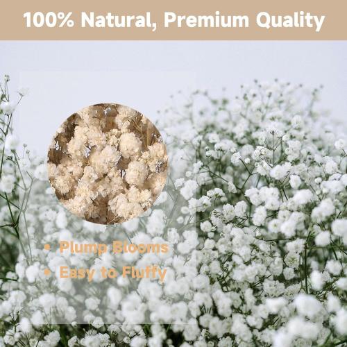 Dried Baby's Breath Bouquet, Pure White 6-7.8 Portable Mini Gypsophila Flowers, 2000  Natural Preserved Flowers for Wedding Home Decor DIY Crafts Vase Filler Wreath Card Making