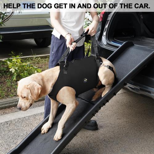 Coodeo Dog Lift Harness, Pet Support & Rehabilitation Sling Lift Adjustable Padded Breathable Straps for Old, Disabled, Joint Injuries, Arthritis, Loss of Stability Dogs Walk (Black, XL)