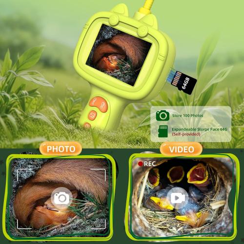 Daxiongmao Borescope Camera with Light for Kids | STEM Science Educational Toy for 4 5 6 7 8 9 10 12 Years Old Boys & Girls | Birthday Gift for Outdoor Adventures & Nature Discovery (Yellow)