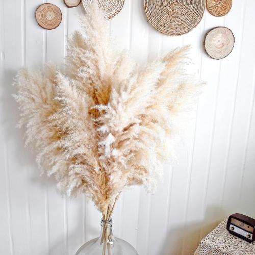 11pcs 40'' Pampas Grass Tall Decor - Pompas Floral, Tall Pampas Grass for Floor Vases, Living Room Floor, Floor Plants, Plumas para, and Grass Wall Decor