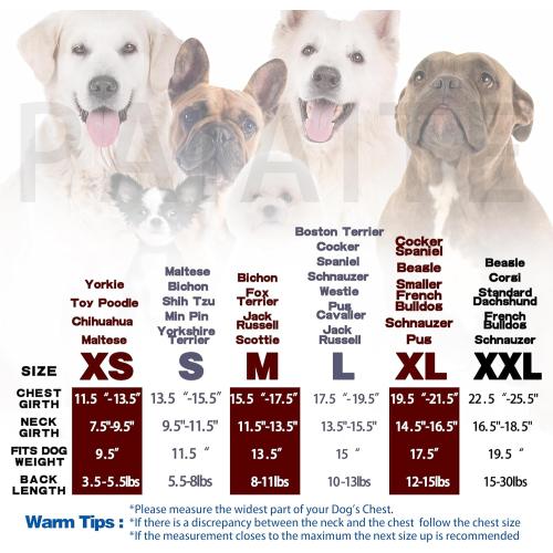 Comfortable Polycotton Dog Hoodie: Soft, Lightweight Puppy Vest for Small and Large Dogs, Highlighting The Heartfelt 'I Only Love My Bed, My Mama, I'm Sorry' Slogan Print Grey XS