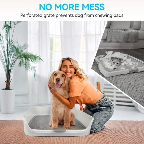 ALL FOR PAWS Dog Pee Pad Holder with Removable Post, 23.6 Indoor Dog Potty Training Tray, Puppy Toilet Litter Box for Small to Medium Sized Dogs
