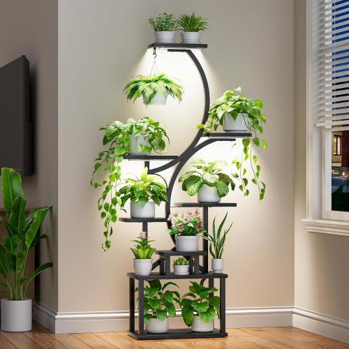 Plant Stand Indoor with Grow Lights - 62 Tall Plant Shelf, Lighted Corner Plant Stands for Indoor Growing, 8 Tiered Large Flower Holder, S-Shaped Plants Rack for Living Room, Patent Design, Black