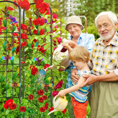 2 Pack Garden Trellis for Climbing Plants Outdoor, Metal Arched Fence Trellis Plant Climbing Support Decorative, Plant Trellis Indoor for Vines Flowers Vegetables Wall Brackets, 60 x 11