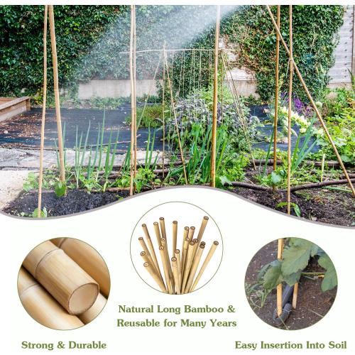 Plant Stakes 4FT, Natural Bamboo Stakes, 25Pcs Sturdy Bamboos Garden Stakes | HAINANSTRY Bamboo Sticks for Plants, Beans, Indoor and Outdoor Climbing Plants, Tomato Vegetable Stakes for Garden