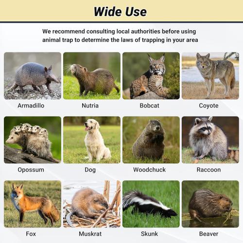 Humane Large Animal Trap Black 42 x 15.7 x 17.7 inch, Easy to Set & Release Animal Trap Cage, Collapsible Live Traps for Dogs, Raccoons, Foxes, Coyotes