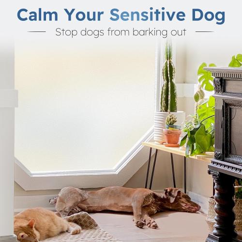 rabbitgoo Window Privacy Film with Kit for Glass Windows Frosted Decorative Clings UV Heat Control Static Cling Removable Easy Install for Bathroom Bedroom Door Home Coverings Pure, 17.5 x 78.7 inches