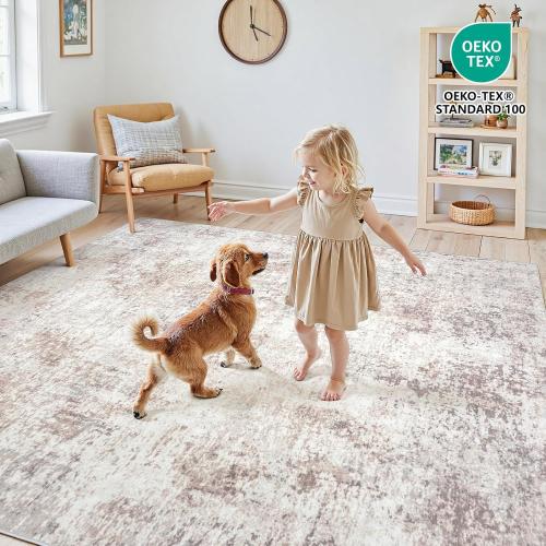 Area Rugs Living Room: Large Soft Washable Rug Modern Abstract Anti-Skid Non-Shedding Carpet Indoor Floor Thin Carpets for Bedroom Dining Room Farmhouse Nursery Home Office